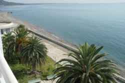 вид с балкона номера